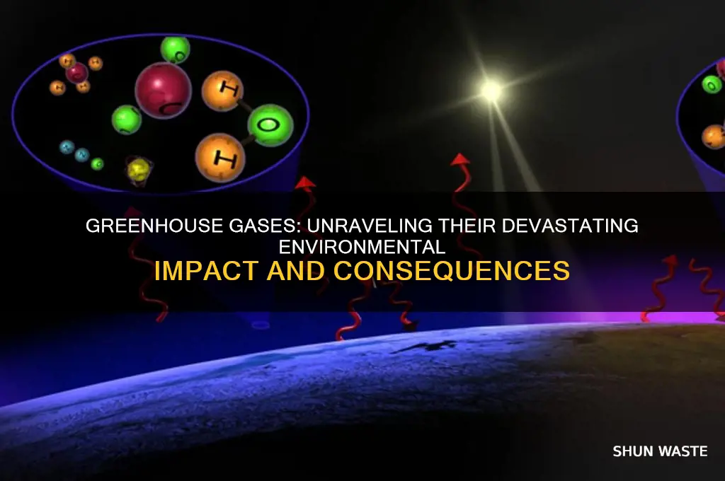 how do greenhouse gases impact the environment