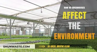 Greenhouses: Environmental Impact, Sustainability, and Climate Change Effects Explained