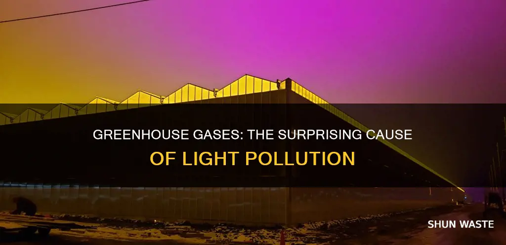 how do greenhouses cause light pollution