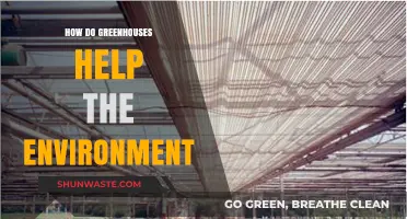 Greenhouses: Sustainable Solutions for Eco-Friendly Food Production and Conservation