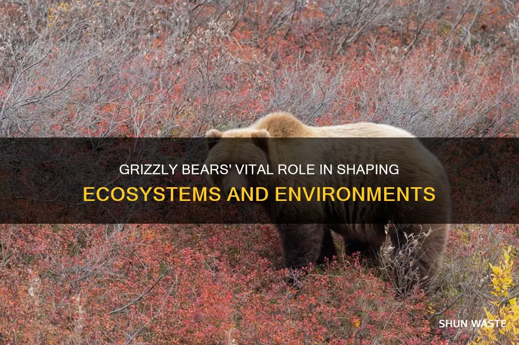 how do grizzly bears affect the environment