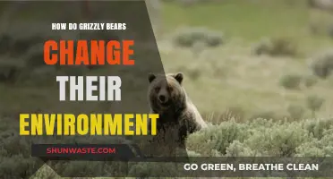 Grizzly Bears' Impact: Shaping Ecosystems Through Behavior and Habitat Alteration