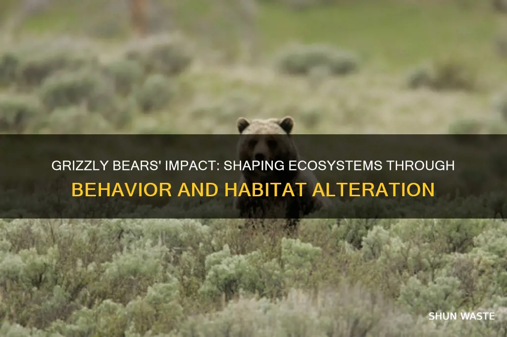 how do grizzly bears change their environment