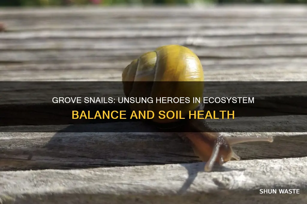 how do grove snails help the environment