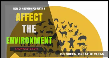 Population Growth's Impact: Environmental Challenges and Sustainable Solutions