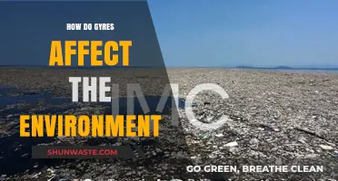 Gyres' Environmental Impact: Pollution, Wildlife, and Ecosystem Disruption Explained