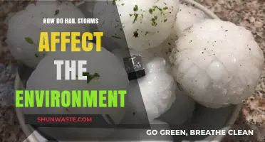 Hail Storms' Environmental Impact: Effects on Ecosystems and Climate