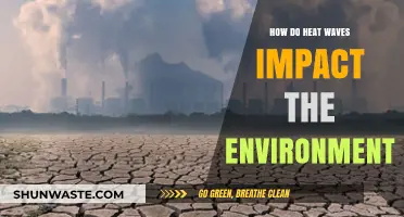 Heat Waves' Devastating Environmental Impacts: Causes, Effects, and Solutions