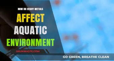 Heavy Metals' Toxic Impact on Aquatic Ecosystems: Causes and Consequences