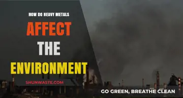 Heavy Metals' Environmental Impact: Pollution, Ecosystem Damage, and Health Risks