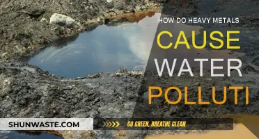 Unveiling the Toxic Impact: Heavy Metals and Water Pollution