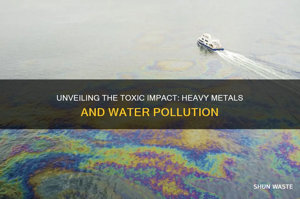 how do heavy metals cause water pollution