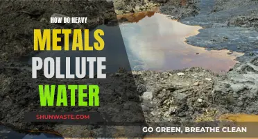 Heavy Metals: The Silent Water Pollutants