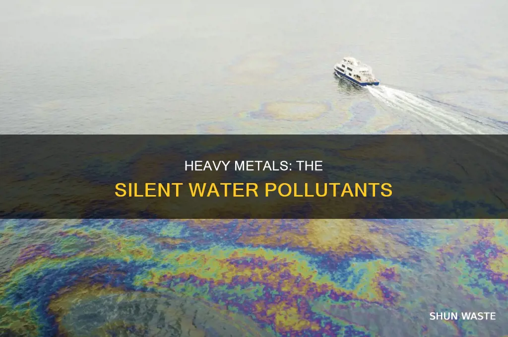 how do heavy metals pollute water