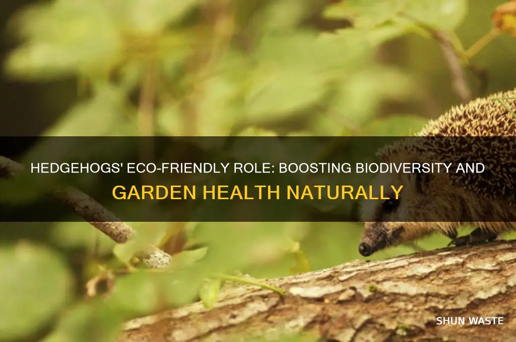 how do hedgehogs help the environment