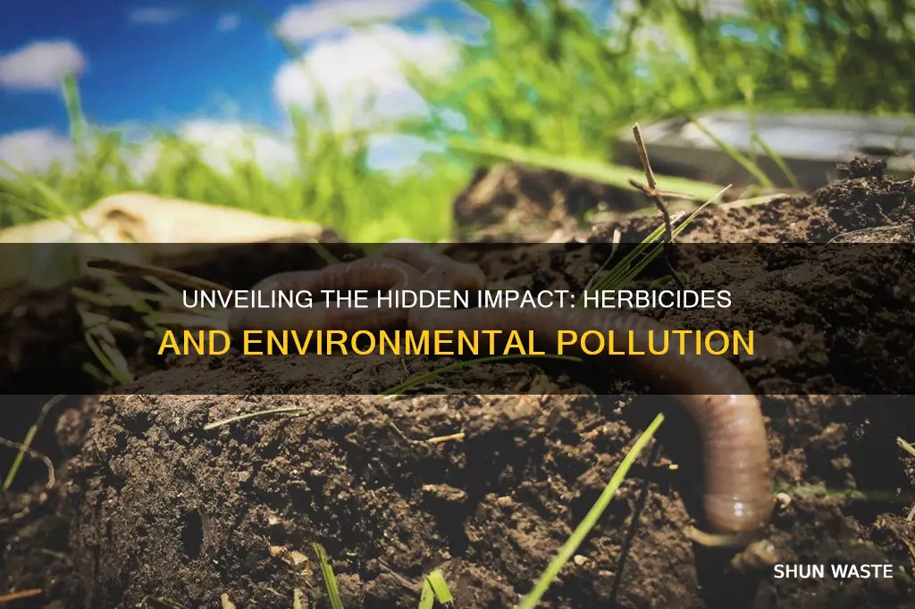 how do herbicides cause pollution