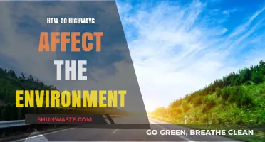 Highways' Environmental Impact: Pollution, Wildlife Disruption, and Habitat Loss
