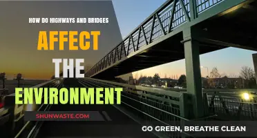 Highways, Bridges, and Their Environmental Impact: A Comprehensive Analysis