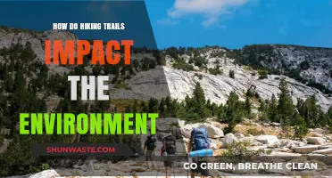 Hiking Trails: Balancing Adventure with Environmental Conservation Efforts