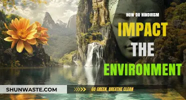 Hinduism's Eco-Philosophy: Sacred Practices Shaping Sustainable Environmental Stewardship