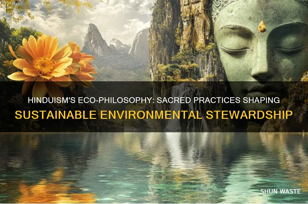 how do hinduism impact the environment