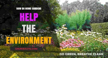 Home Gardens: Nurturing Nature, Reducing Carbon Footprint, and Promoting Sustainability