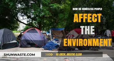 Homelessness and Environmental Impact: Exploring the Complex Relationship