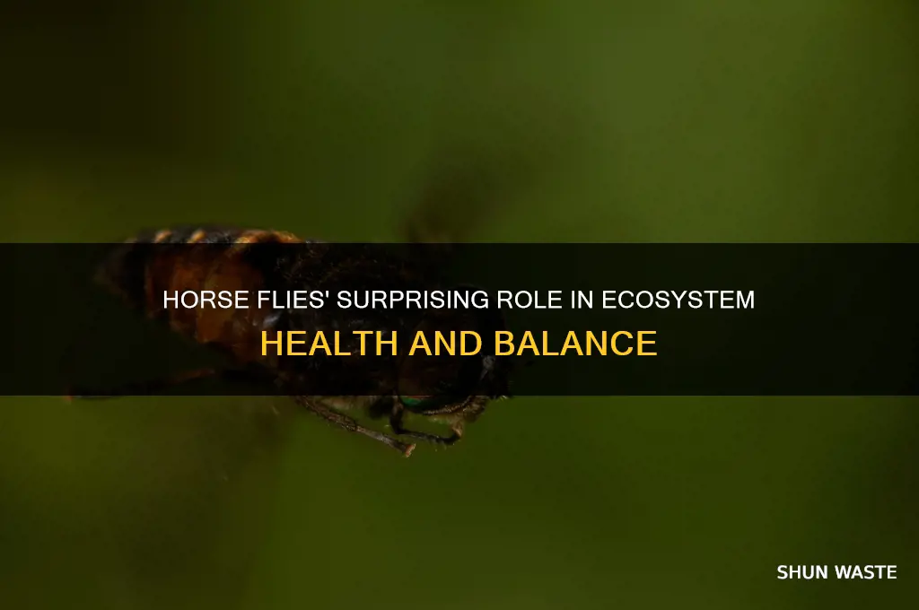 how do horse flies help the environment