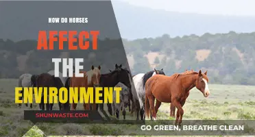 Horses' Environmental Impact: Grazing, Land Use, and Ecosystem Effects Explained
