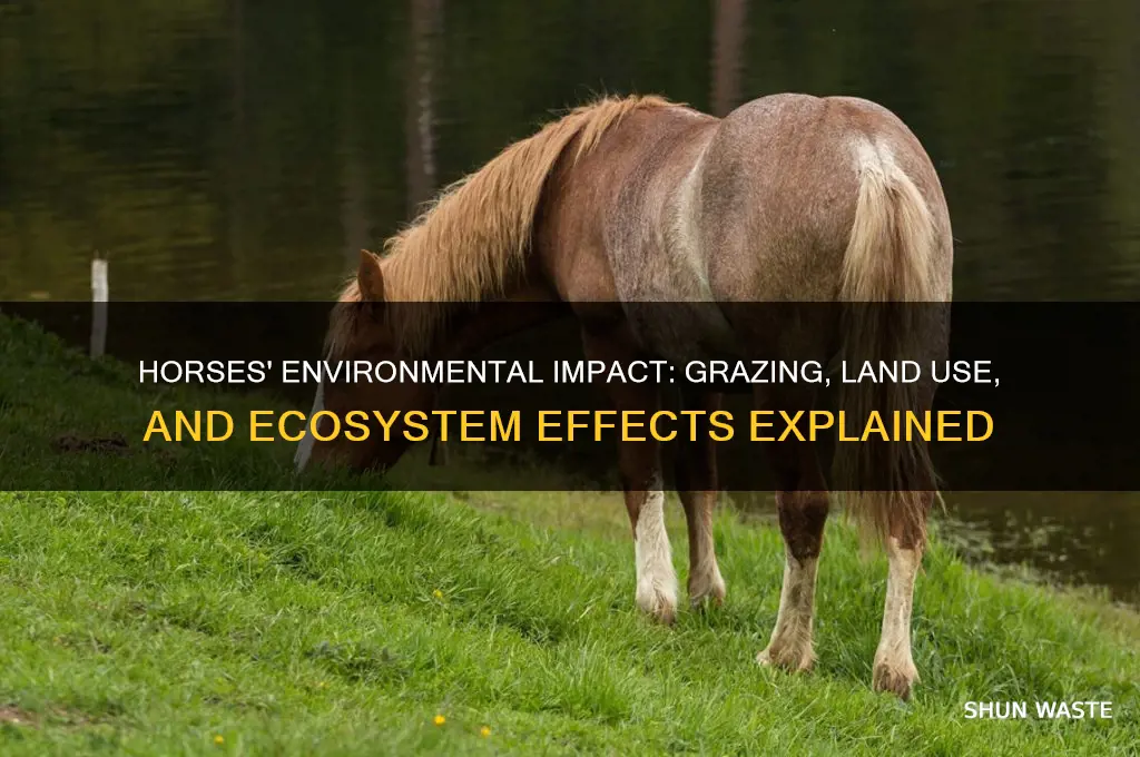 how do horses affect the environment