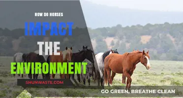 Horses' Environmental Impact: Grazing, Land Use, and Ecosystem Effects Explained