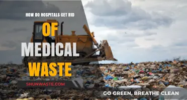 Safe Disposal: How Hospitals Manage and Eliminate Medical Waste