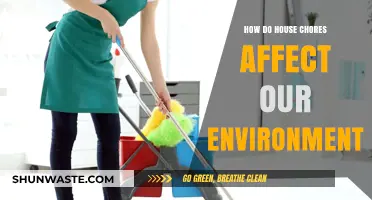 Eco-Friendly Cleaning: How Household Chores Impact Our Planet's Health