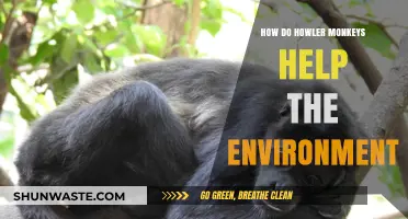 Howler Monkeys: Vital Environmental Stewards in Tropical Ecosystems