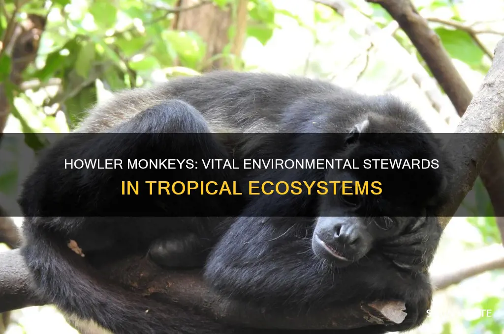 how do howler monkeys help the environment