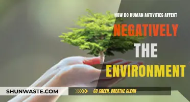 Human Actions, Environmental Consequences: Uncovering Our Impact on the Planet