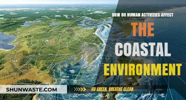 Human Impact on Coasts: Activities Shaping Fragile Ecosystems