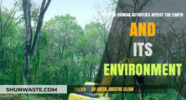Human Impact: Activities Shaping Earth's Environment and Future