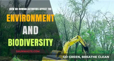 Human Impact: Activities Threatening Our Environment and Biodiversity Loss