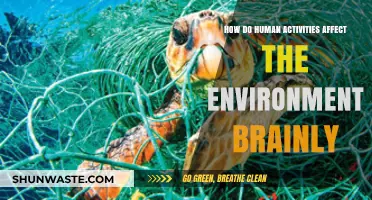 Human Activities and Their Impact on the Environment Explained