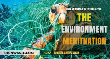 Human Activities and Their Impact on the Environment: A Comprehensive Analysis