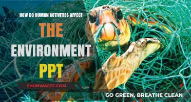 Human Activities Impact: Environmental Consequences Explained in PPT