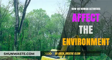 Human Impact: Unveiling Our Actions' Effects on the Environment