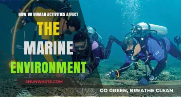 Human Impact on Oceans: Activities Threatening Marine Ecosystems and Life