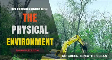 Human Impact: How Our Actions Reshape the Physical Environment