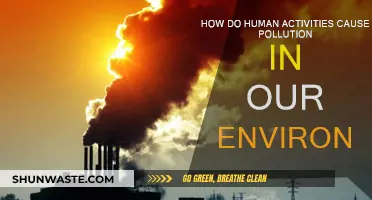 Human Impact: Uncovering the Sources of Environmental Pollution