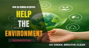 Sustainable Actions: How Human Efforts Positively Impact Our Environment