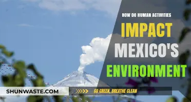 Human Activities and Mexico's Environment: Impacts and Solutions