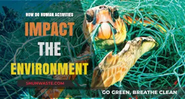 Human Actions, Environmental Consequences: Understanding Our Impact on Nature