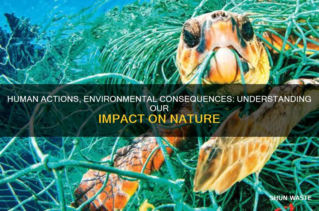 how do human activities impact the environment